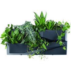 Vertical planter Prosperplast Flowerbed Vertical Garden Set of 4 Krukke