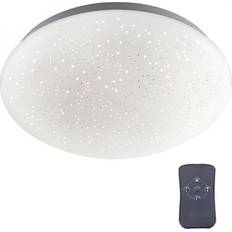 Paul Neuhaus Stål Loftlamper Paul Neuhaus Leuchten Direkt 14241-16 Loftplafond
