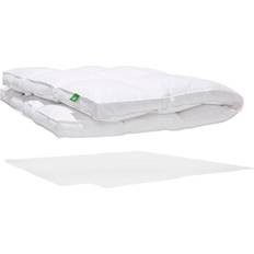 Bed Mattress Canadian Down & Feather Company Perfect Bed Matress