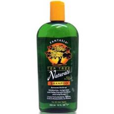 Tea Tree Naturligt Schampo 355 ml