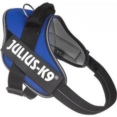 Julius k9 l Julius-K9 IDC-Powair Summer Harness - Taglia L - Blu