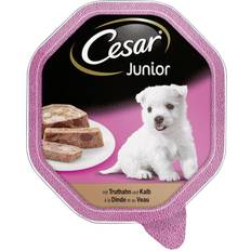Cesar Junior 150 g Paté Med Kalkon Och Kalv