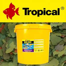 Tropical malawi flakes 21