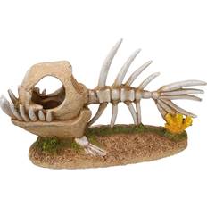 Monster fish Nobby Aqua Ornaments Monster Fish Skeleton 22.8 x 8.5 x 13 cm