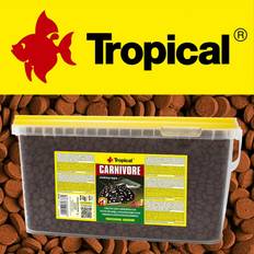 Tropical carnivore, 5 l, carnivore