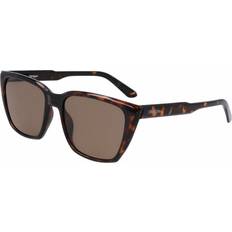 Dragon Luna Ll Shiny Sunglasses - Ll Brown