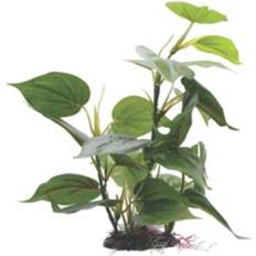 Fluval Anubias Aquarium Plant 12