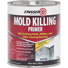 Paint Zinsser mold killing White