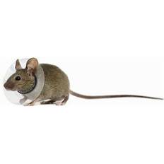 KVP KVP Collar for Rodents 5.75-7.5 cm