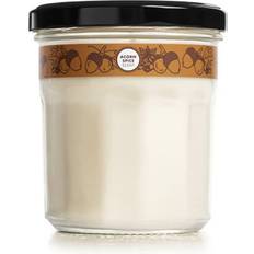 Mrs. Meyer's Clean Day Soy Large Fall Acorn Spice 7.2 oz Scented Candle