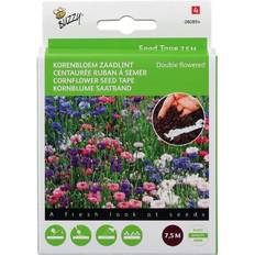 Buzzy Kornblomst frø, Double flowered mix- 7,5m Blomsterfrø