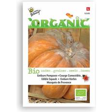 Græskar frø Buzzy Organic græskar Musquée de Provence frø Grøntsagsfrø