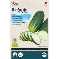 Organic Cucumber Seeds Marketmore
