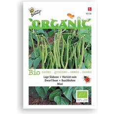 Graines de Légumes Buzzy® Organic Dwarf Beans Maxi