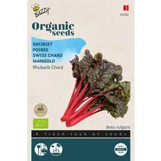 Bladbede Økologisk, Bladbede frø, Rhubarb Chard Grøntsagsfrø