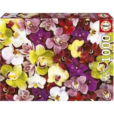 Educa Orchid Collage 1000 Pieces