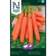 Morötter Grönsaksfröer Nelson Garden Fröer Morot Sommar Nantaise 2 Såband