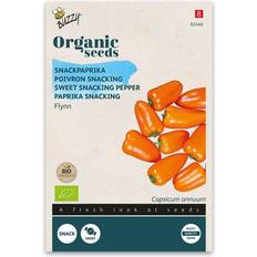 Noten & Zaden Bio Snackpaprika Flyn Oranje 4 ZDN