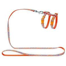 Kattsele koppel Hunter Kattsele koppel Seventies, orange