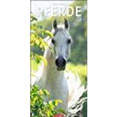 Pferde Wandkalender 2024 Länglich 33x68 cm