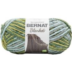 Bernat Blanket Big Ball Yarn-Forest Sage -161110-10869