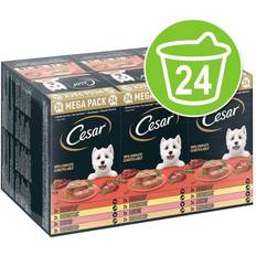 Cesar Koiranruoka Lemmikit Cesar Country Ragout Koiranruoka 48 x 150 g