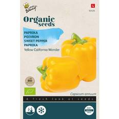 Grøntsagsfrø Buzzy Organic peberfrugt gul Wonder økologiske Grøntsagsfrø