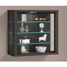 Wall Display Case Vitrosa S
