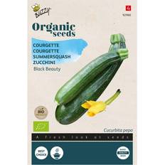 Krukker, Planter & Dyrkning Økologisk, Squash frø, Black Grøntsagsfrø