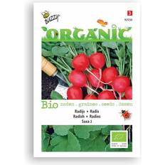 Vegetable Seeds Buzzy® Organic Radish Seeds Saxa 2