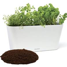 Herb garden planter box Window Garden Aquaphoric Herb Garden Tub Watering Planter Box Fiber