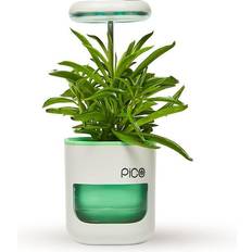 Propagators Pico Planter Garden Plant Grow Light. This Herb Growing Kit the Perfect