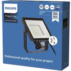 Spotlights Philips Aussenwandleuchte, ProjectLine 8719514954533 Spotlight