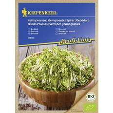 Kiepenkerl Profi-Line Brokkoli Brassica oleracea var.