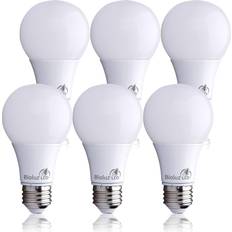 Led 60 watt light bulbs 6 Pack Bioluz LED 60 Watt LED Light Bulbs Non Dimmable