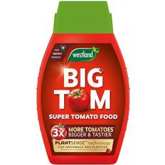 Tomate Semillas de Verdura Westland Big Tom Super Tomato Food 1L wilko Garden