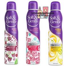 250.0 ml Deodorants Soft & Gentle and Berry Bliss Raspberry and Peony Anti-Perspirantodorant wilko 250ml