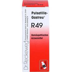 Haustiere PULSATILLA-GASTREU R49 Mischung 50