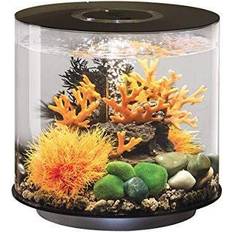 Biorb 15 Biorb 15 litre tube aquarium