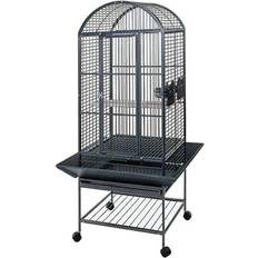 Parrot Cage Villa Minerva Silverstone