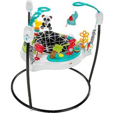 Animals Baby Walker Chairs Fisher Price Animal Wonders Jumperoo