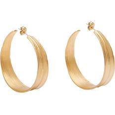 Pico Olive Grande Earrings - Gold