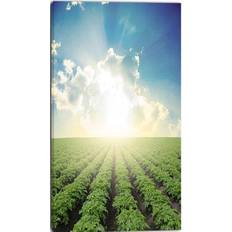 Interior Details Design Art "Beautiful Potato Field Sunset" Extra Large Landscape Wall Decor