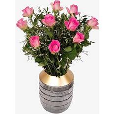 Pink Roses