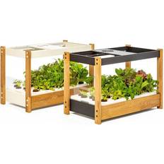Click and Grow 25 Minidrivhus