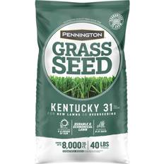 Seeds Pennington Kentucky 31 Tall Fescue Grass Sun Seed 40lbs 8000sqft