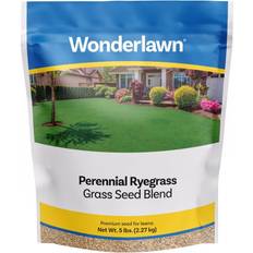 Flower Seeds Barenbrug 71570 perennial ryegrass lawn blend 5 lbs