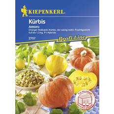 Saatgut Kiepenkerl Kürbis Amoro Cucurbita