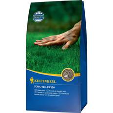 Grass Seeds Kiepenkerl Schatten-Rasen 1kg