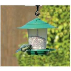 Garland Lantern Bird Seed & Nut Feeder